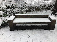 Photo by Sheila Webber of a bench in the snow taken in February 2024